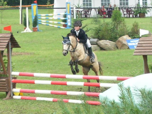 CSIP Heroutice, parkur ZLPA na čas