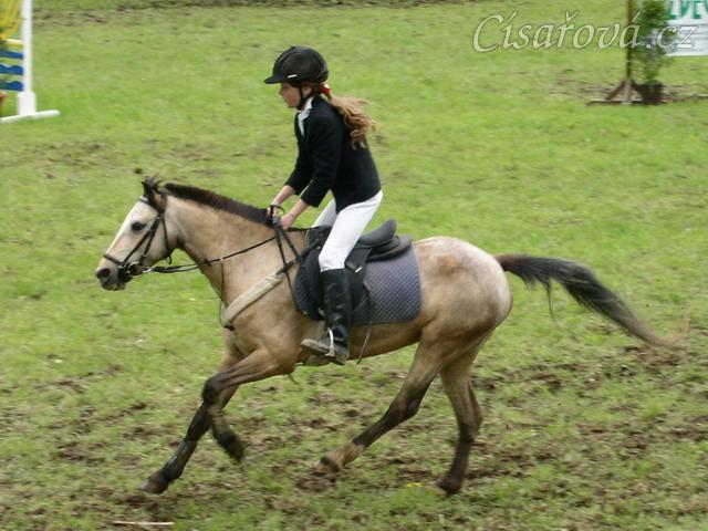 Dojezd do cíle parkuru