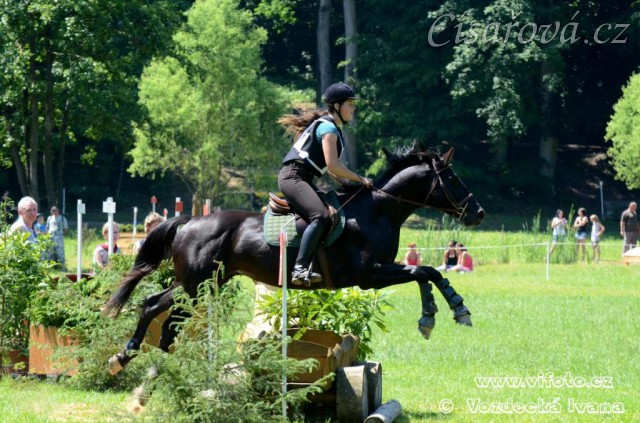 17.6.2012 - Carthago se umístil na 5. místě v kvalifikačním kole KMK ve všestrannosti v Lošticích:-) Drezuru zajel na 62%, cross zvládl čistě a parkur za chybu. Je tedy kvalifikovaný do finále KMK:-) Arwen zajela letos svou první všestrannost také dobře.