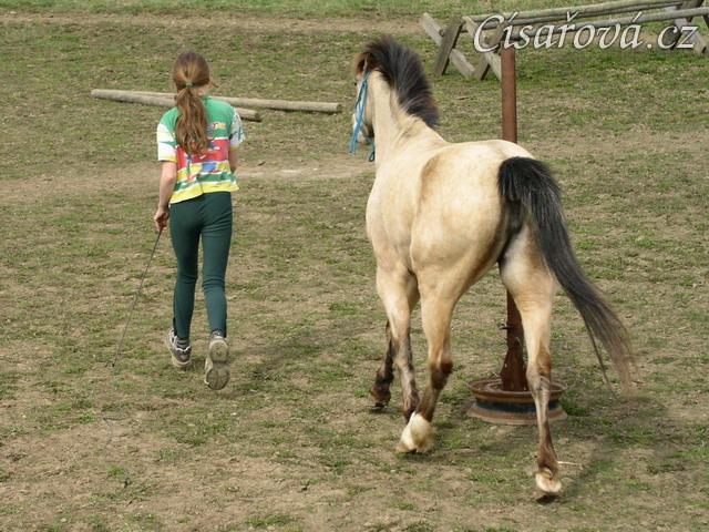 Parellistění ve volnosti