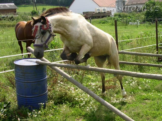 Skákání řady ve volnosti