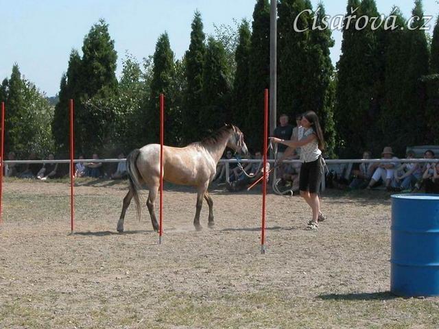 Parellistění, soutěž slalom pozpátku, Středokluky 2001