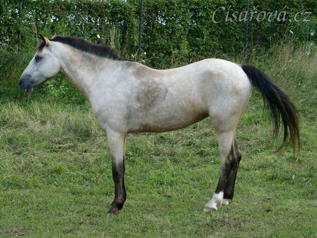 Už zase stojím na všech čtyřech :-)