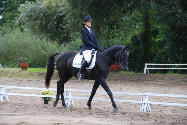 Carthago, drezura L8, 3. místo, Dobřany září 2012