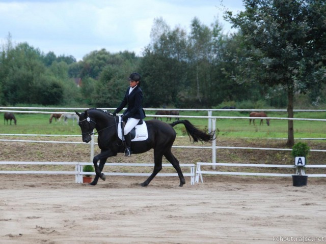 Carthago, drezura L8, 3. místo, Dobřany září 2012