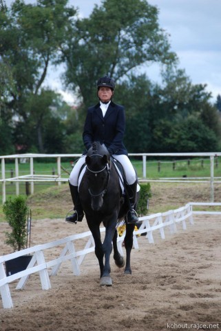 Carthago, drezura L8, 3. místo, Dobřany září 2012