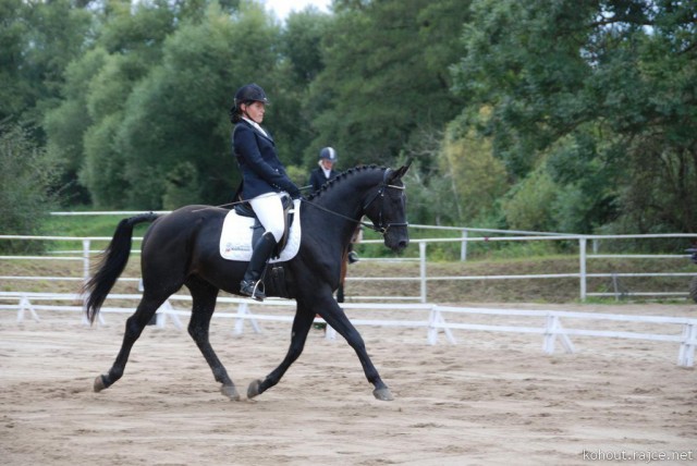 Carthago, drezura L8, 3. místo, Dobřany září 2012