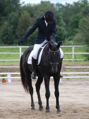 Carthago, drezura L8, 3. místo, Dobřany září 2012