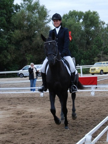 Carthago, drezura L8, 3. místo, Dobřany září 2012