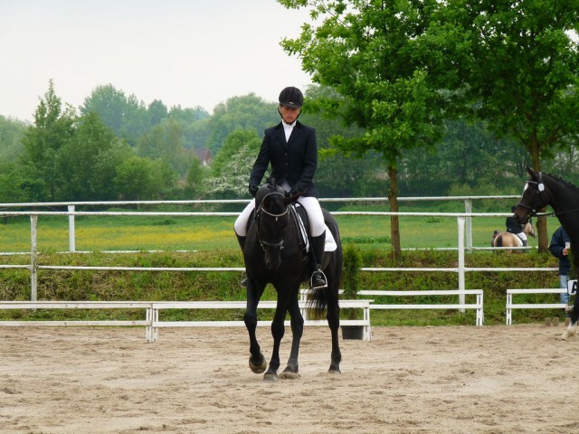 Carthago, drezura Z2, 1. místo, Dobřany květen 2012