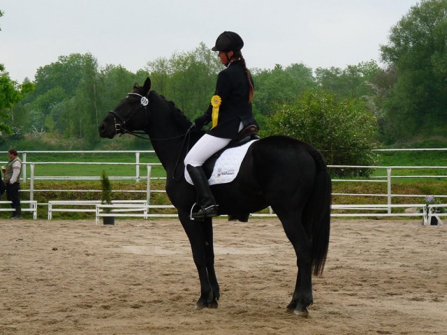 Carthago, drezura Z2, 1. místo, Dobřany květen 2012