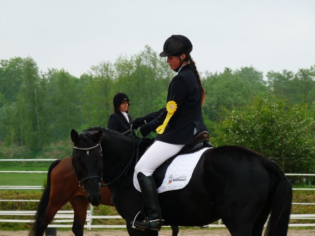 Carthago, drezura Z2, 1. místo, Dobřany květen 2012