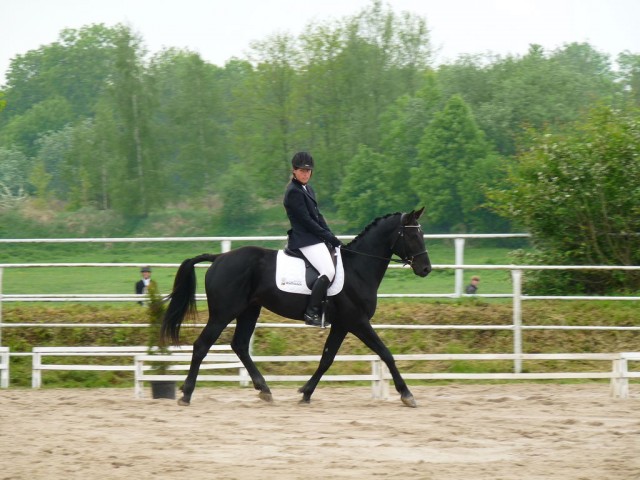 Carthago, drezura Z2, 1. místo, Dobřany květen 2012