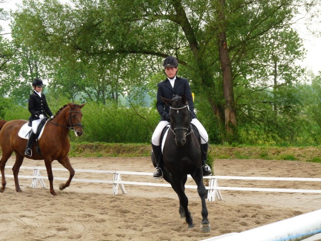 Carthago, drezura Z2, 1. místo, Dobřany květen 2012