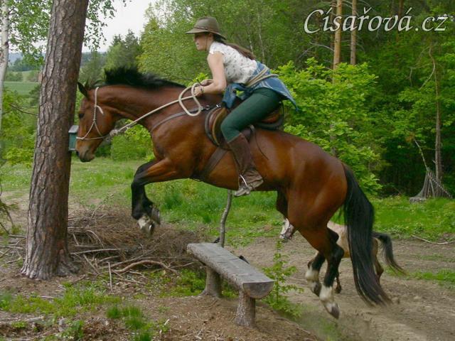 Skákat se dá přes cokoliv :-)