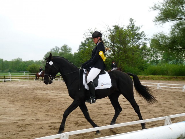 Carthago, drezura Z2, 1. místo, Dobřany květen 2012