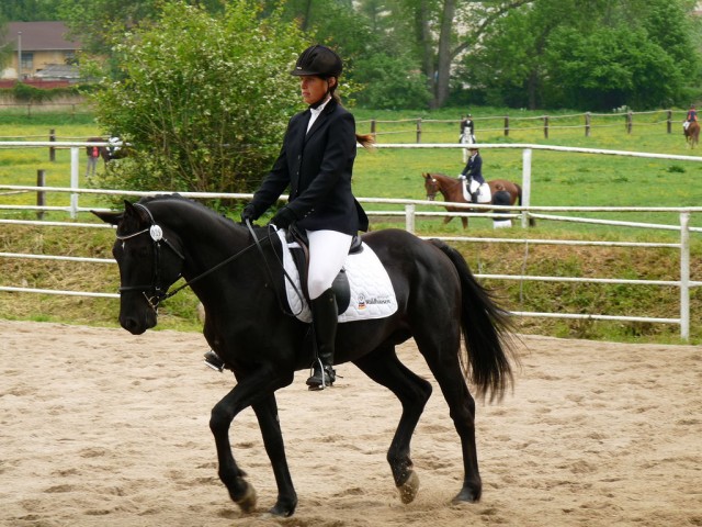 Carthago, drezura Z2, 1. místo, Dobřany květen 2012