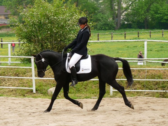 Carthago, drezura Z2, 1. místo, Dobřany květen 2012