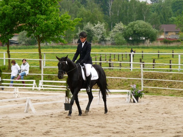 Carthago, drezura Z2, 1. místo, Dobřany květen 2012