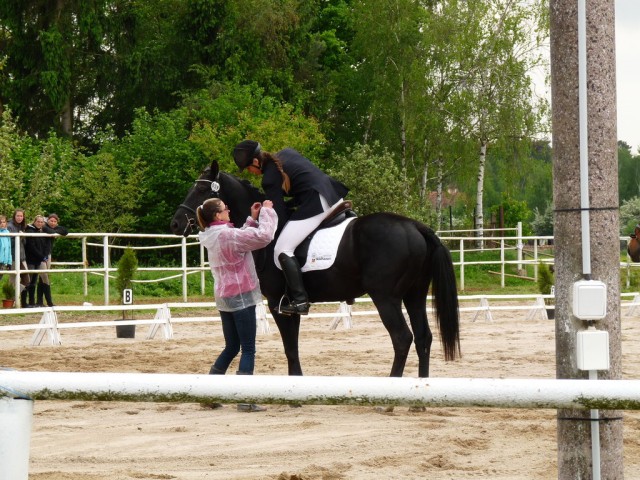 Carthago, drezura Z2, 1. místo, Dobřany květen 2012