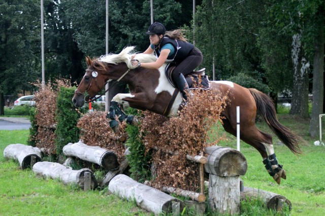Vikina, všestrannost L Humpolec (Stříbrná podkova), červenec 2012
