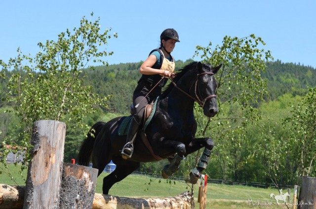Carthago, všestrannost ZL Borová, květen 2012