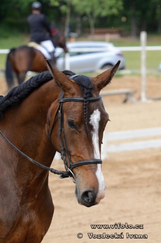 Highland Z, všestrannost ZK Brno, červen 2012, vybojovala 4. místo