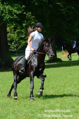 Carthago, všestrannost ZL Loštice (KMK pětiletí), červen 2012, vybojoval 5. místo