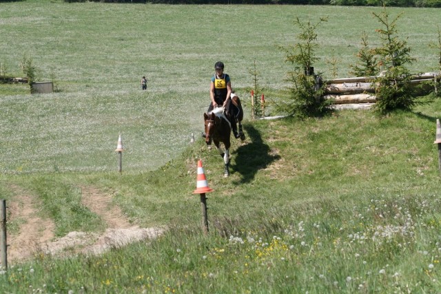 Vikina, všestrannost L Borová (Stříbrná podkova), květen 2012