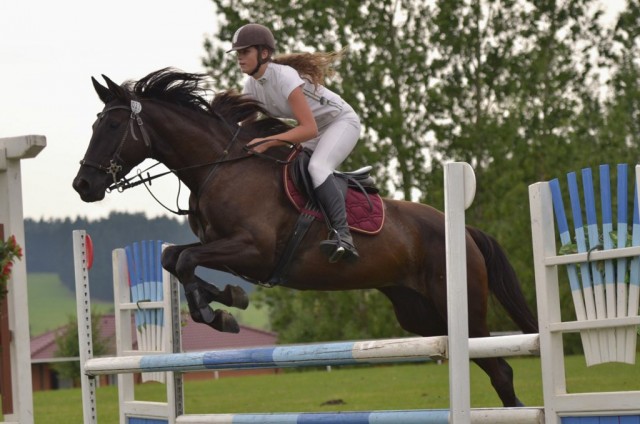 Arwen, parkur ZL Bernartice