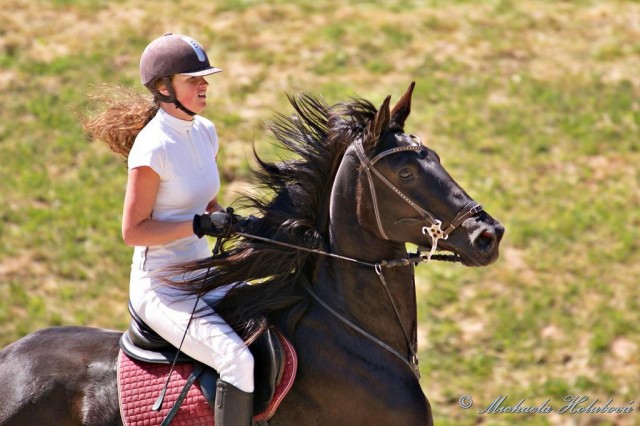 Arwen, parkur ZL Domažlice, soustředění před skokem