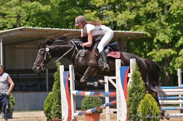 Arwen, parkur ZL Domažlice