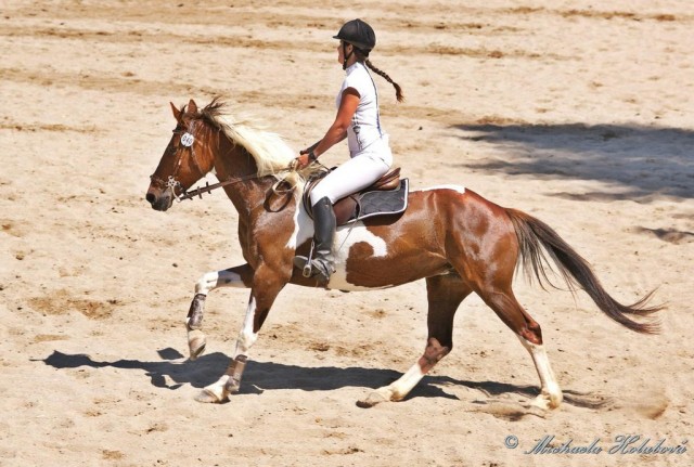 Vikina, parkur ZL Domažlice