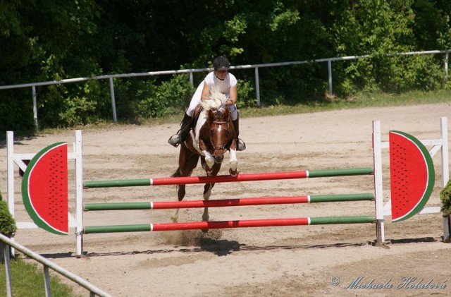 Vikina, parkur ZL Domažlice