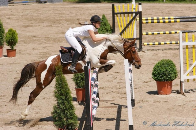 Vikina, parkur ZL Domažlice