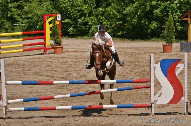 Vikina, parkur ZL Domažlice