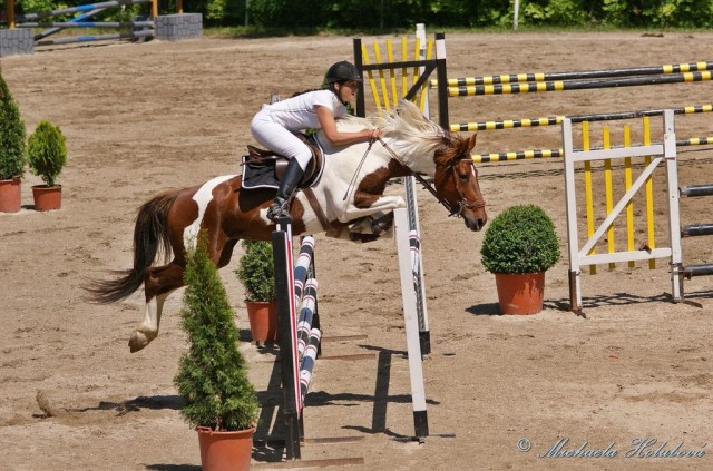 Vikina, rozeskakování parkuru ZL Domažlice, 8. místo z 80 koní
