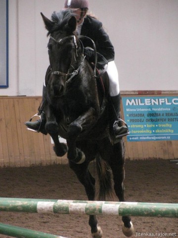 Arwen, parkur Z Krutěnice