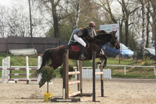 Arwen, parkur ZL Klatovy, duben 2012