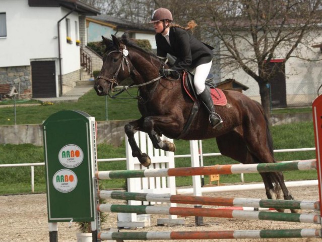 Arwen, parkur ZL Klatovy, duben 2012