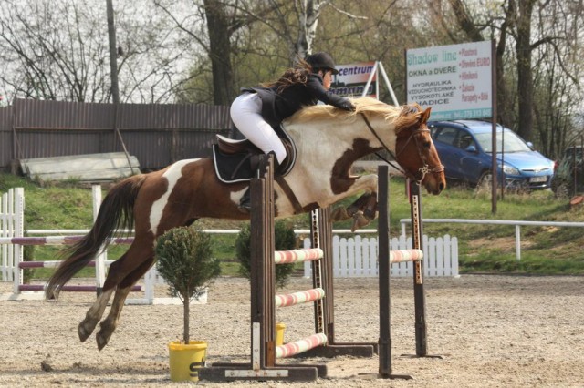 Vikina, parkur ZL Klatovy, duben 2012