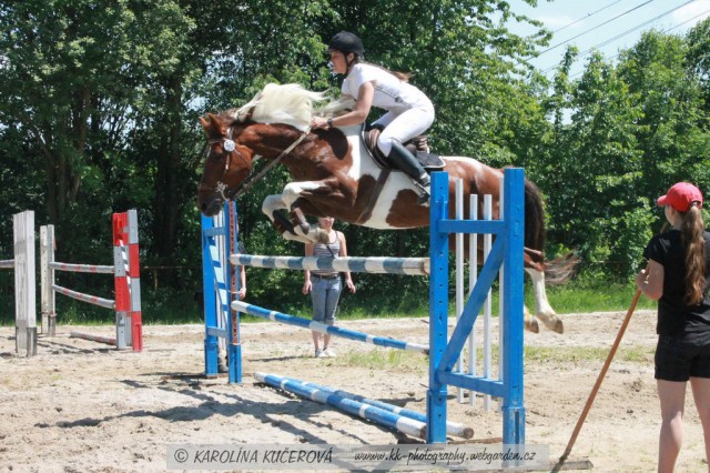Vikina, opracování před závodem, Domažlice
