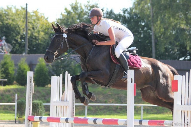 Arwen, parkur ZL Klatovy, srpen 2012