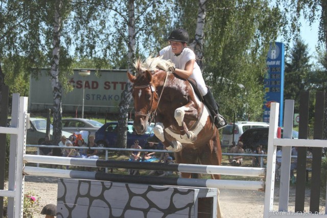 Vikina, parkur ZL Klatovy, 3. místo z 80 koní, srpen 2012