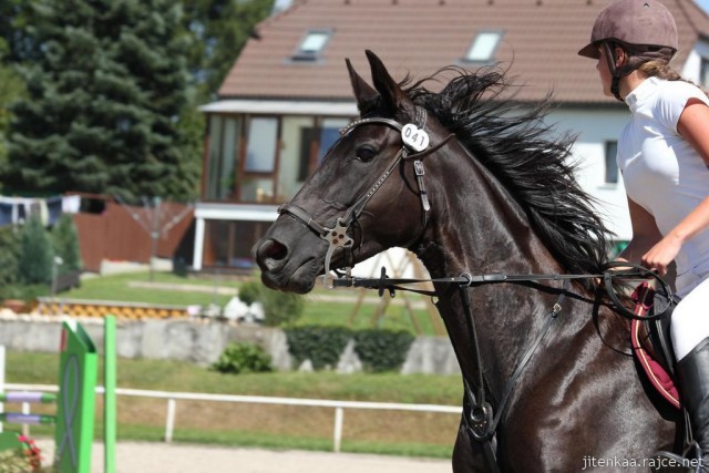 Arwen, parkur ZL Klatovy, srpen 2012