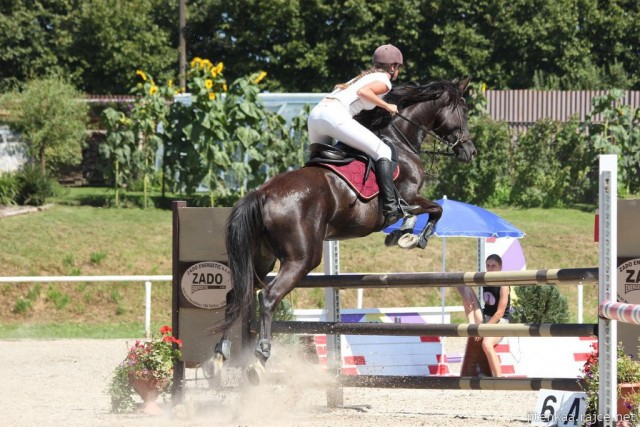 Arwen, parkur ZL Klatovy, srpen 2012