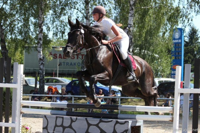 Arwen, parkur ZL Klatovy, srpen 2012