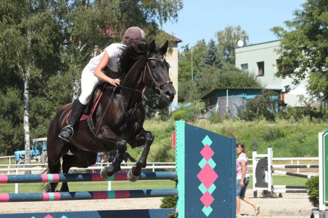 Arwen, parkur ZL Klatovy, srpen 2012