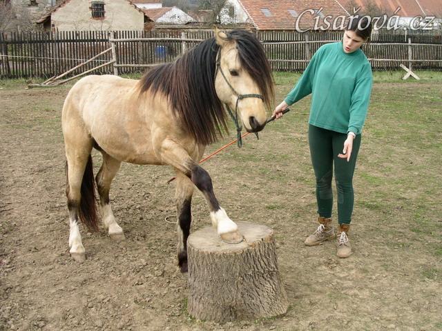 Parellistění ve volnosti, "lezení na špalek"