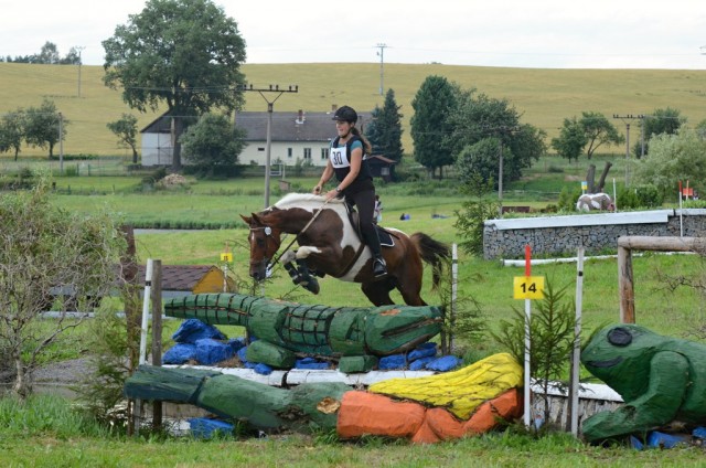 Vikina, všestrannost L Humpolec (Stříbrná podkova), červenec 2012